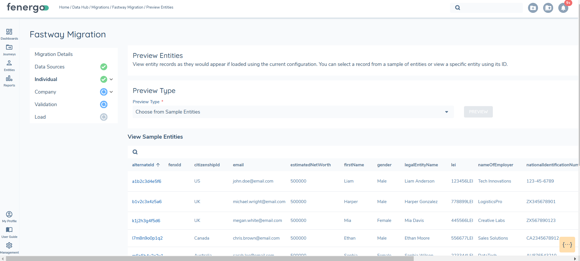 Preview Sample Entities